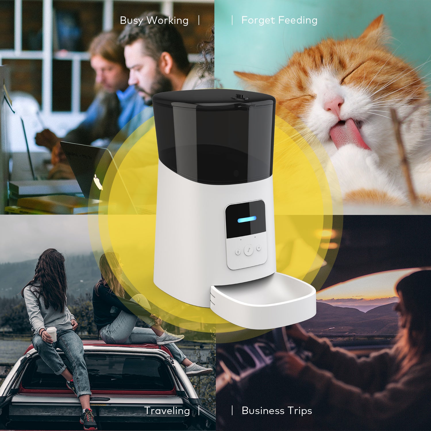 スマホで管理！犬・猫用自動給餌器 6L